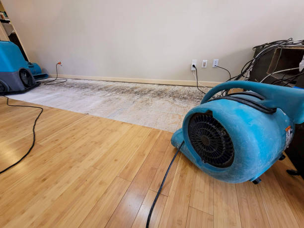 Professional Burst Pipe Water Damage technician working in Orange, CA